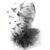 Profile picture of Sswat